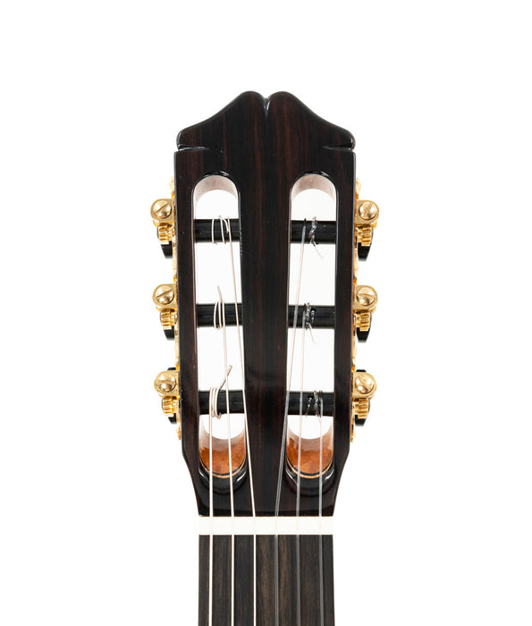 Cordoba 55FCE Negra Thinbody Nylon String Guitar - Ziricote