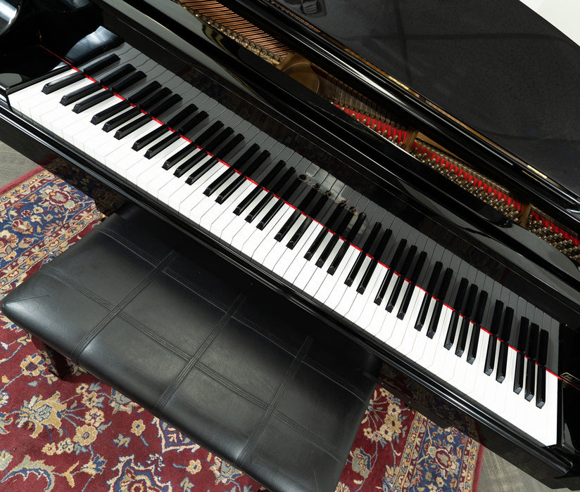 Chas K Hale SG155 Grand Piano | Polished Ebony | SN: 8705398 | Used