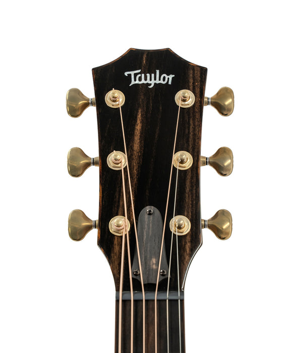 Taylor Custom Grand Concert Acoustic Guitar Factory Visit Hand Picked Woods - Cedar/Tasmanian Myrtle