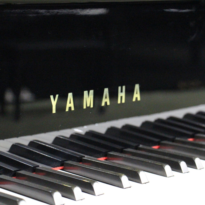Yamaha C3 6'1" Restored & Reconditioned Grand Piano