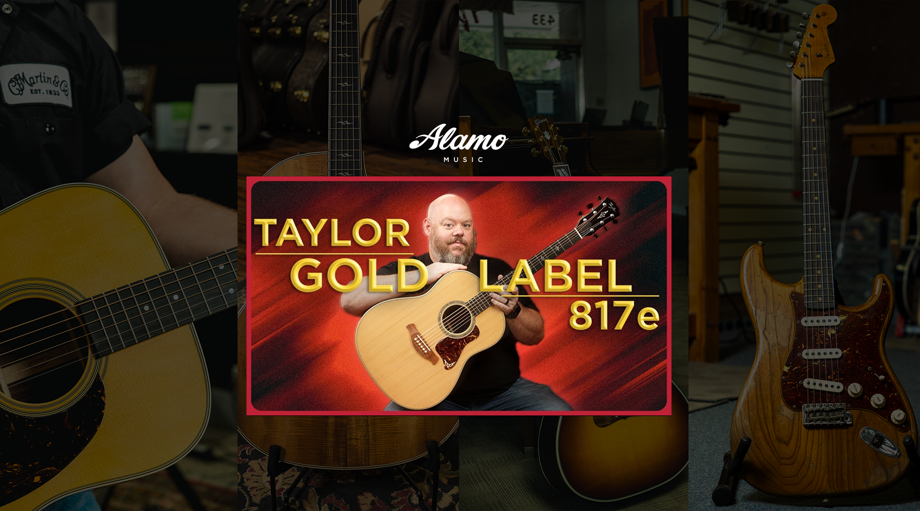 Taylor's New Gold Standard Dreadnought | 817e Gold Label Grand Pacific Review & Demo