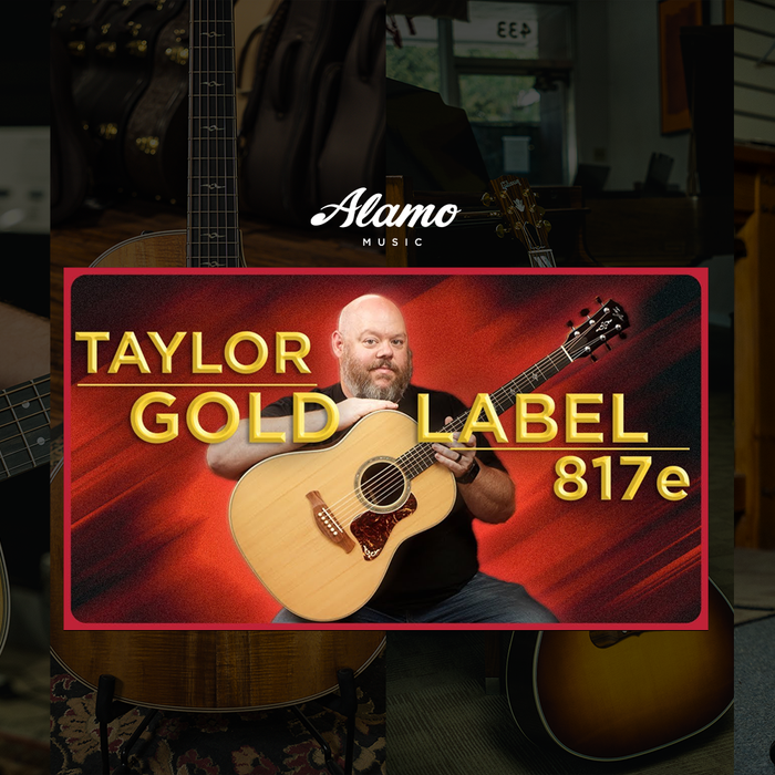 Taylor's New Gold Standard Dreadnought | 817e Gold Label Grand Pacific Review & Demo