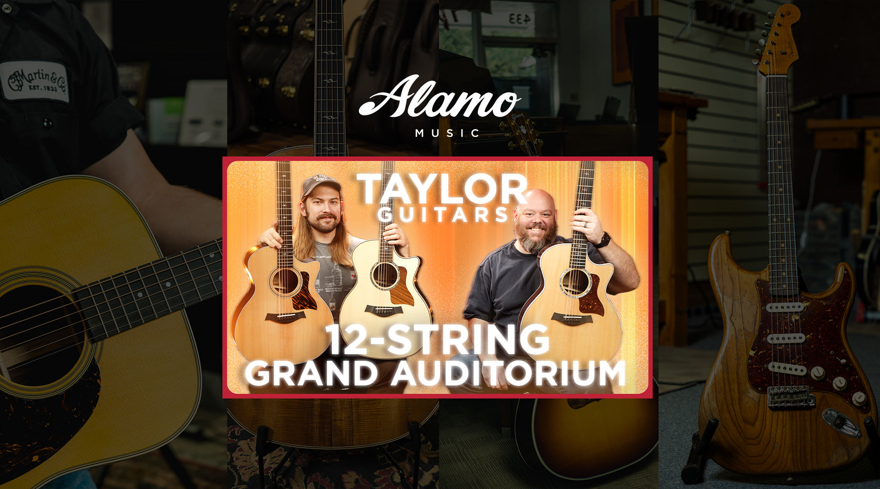 Taylor's New Grand Auditorium 12-Strings | V-Class 354ce, 454ce