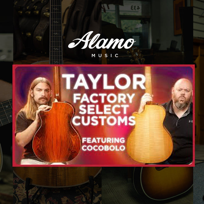 We Recreated A Fan Favorite, With a Twist | Taylor Custom "Mirror Image" Cocobolo & Maple Guitars