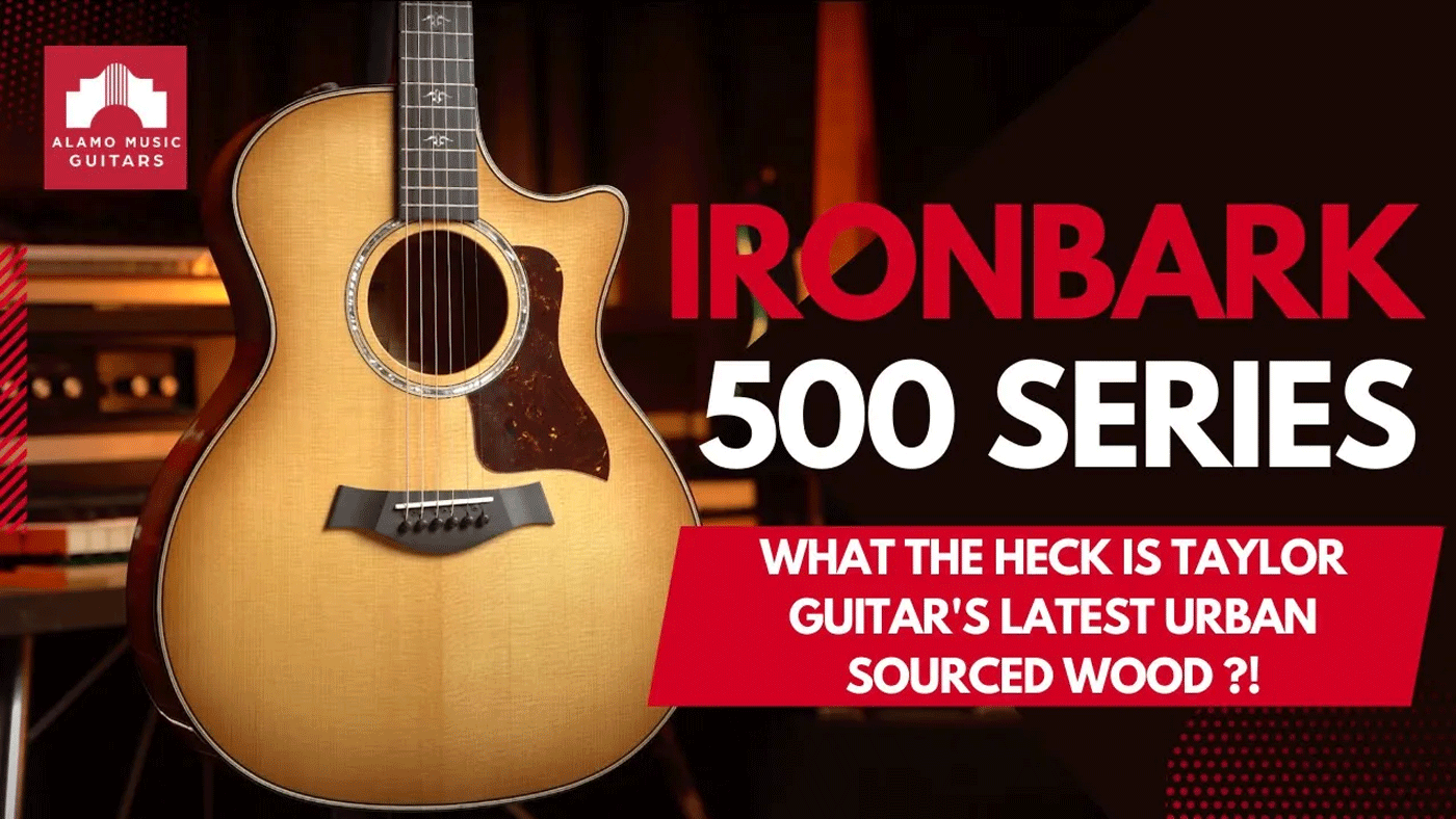 What the Heck is Ironbark? Taylor revamps the 500 series with a new tonewood!