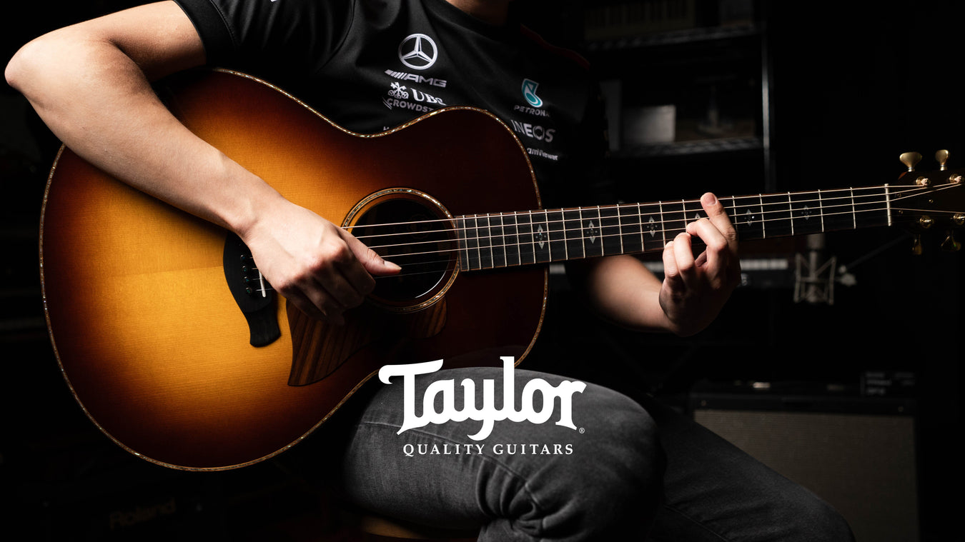 Taylor Guitars Catch Guitars From NAMM | Available at Alamo Music Center