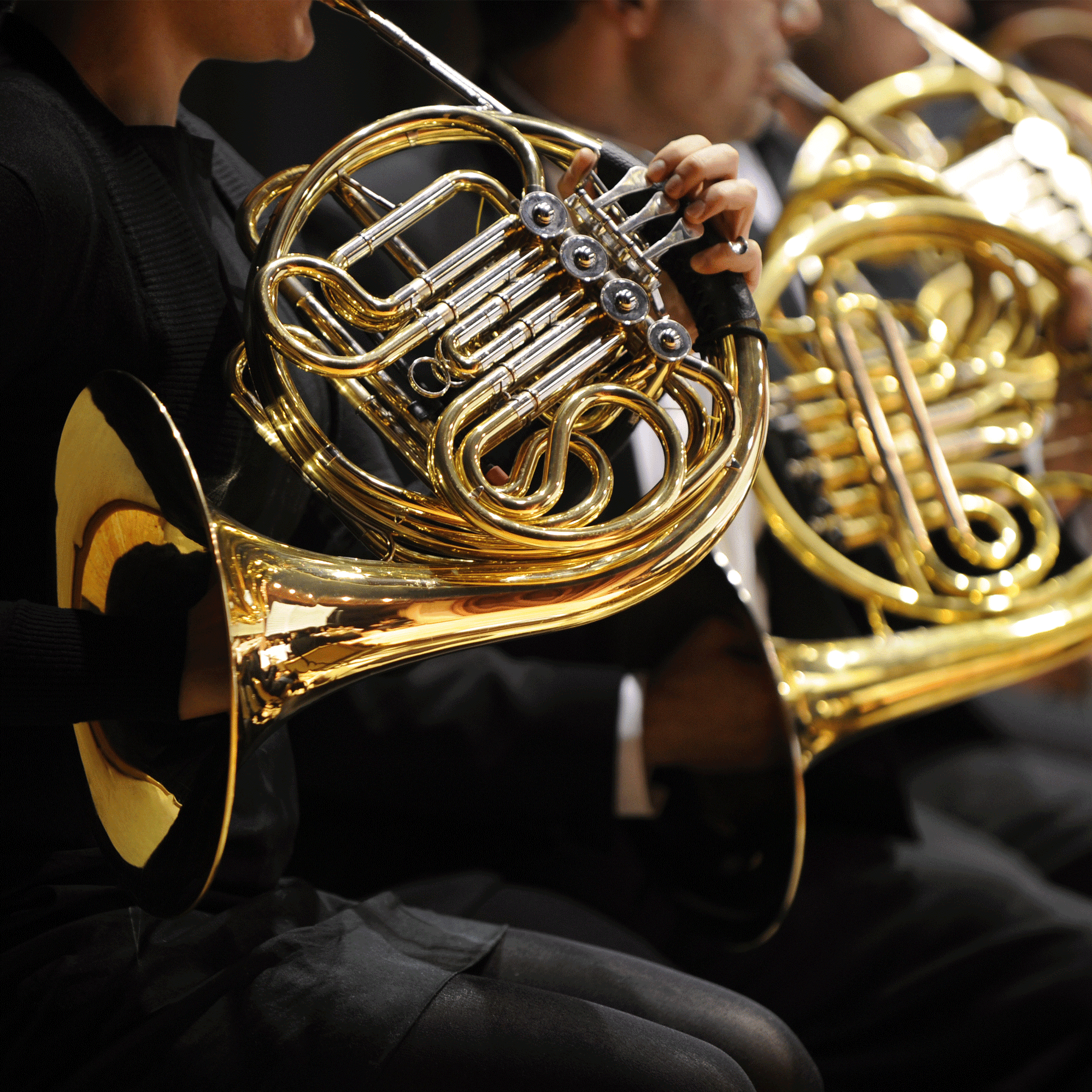 Brass Instruments | Alamo Music Center