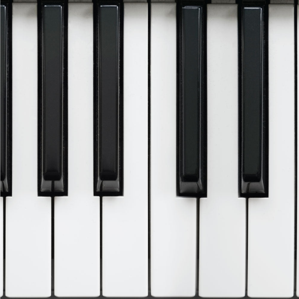 Keyboards — Page 3 — Alamo Music Center