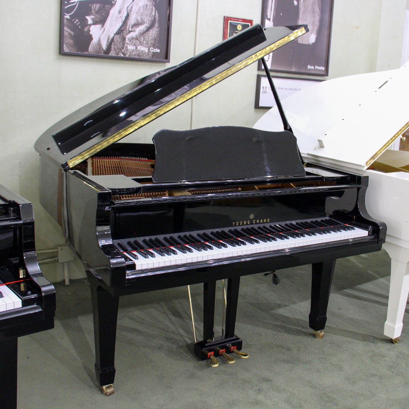 Young Chang G150 PE Baby Grand Piano | Polished EbonyAlamo Music ...