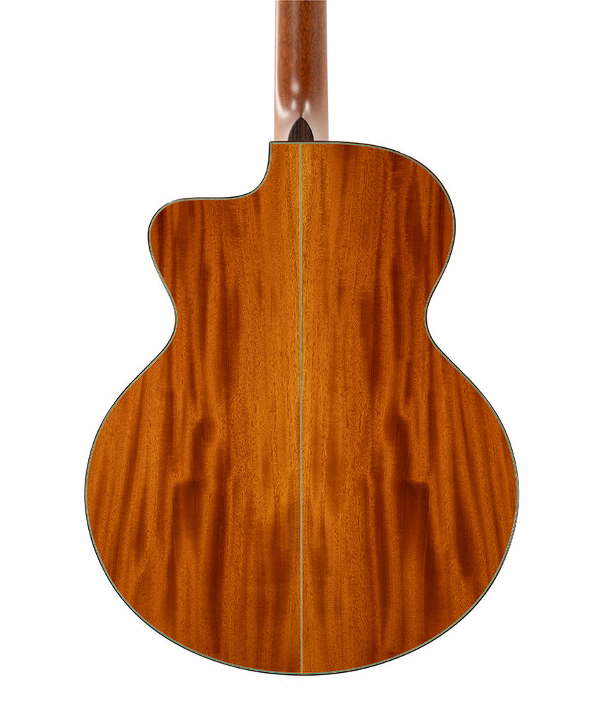Taylor Factory Refurbished Vintage Leo Kottke Signature Model 12-strin ...