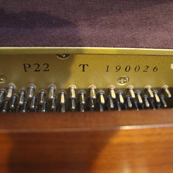 Yamaha P22 Dark Walnut Studio Piano w/ bench