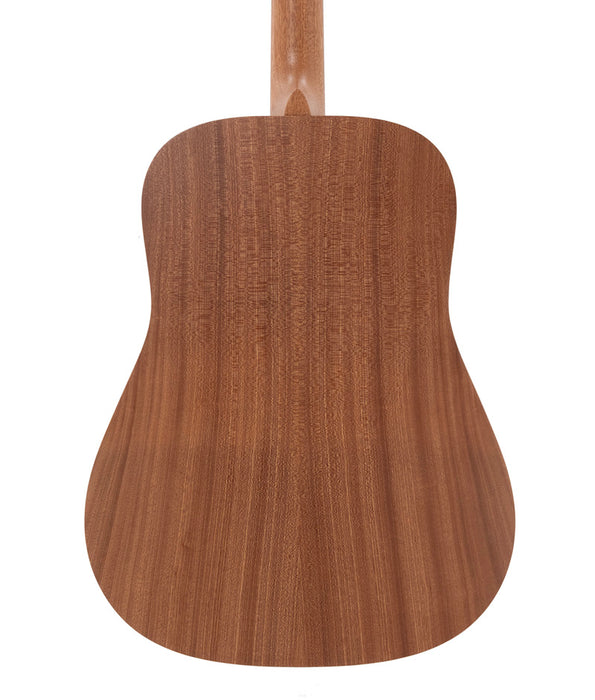 Martin D Biosphere III Acoustic Guitar - Printed Top with Polar Bear Theme | New