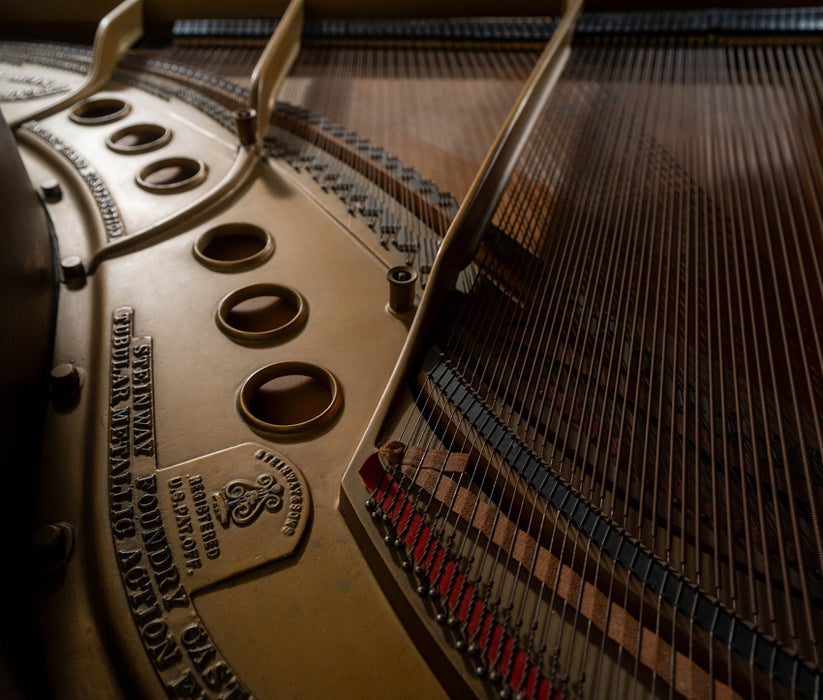 Steinway & Sons Model M Grand Piano | 5'7" | Rosewood | Used