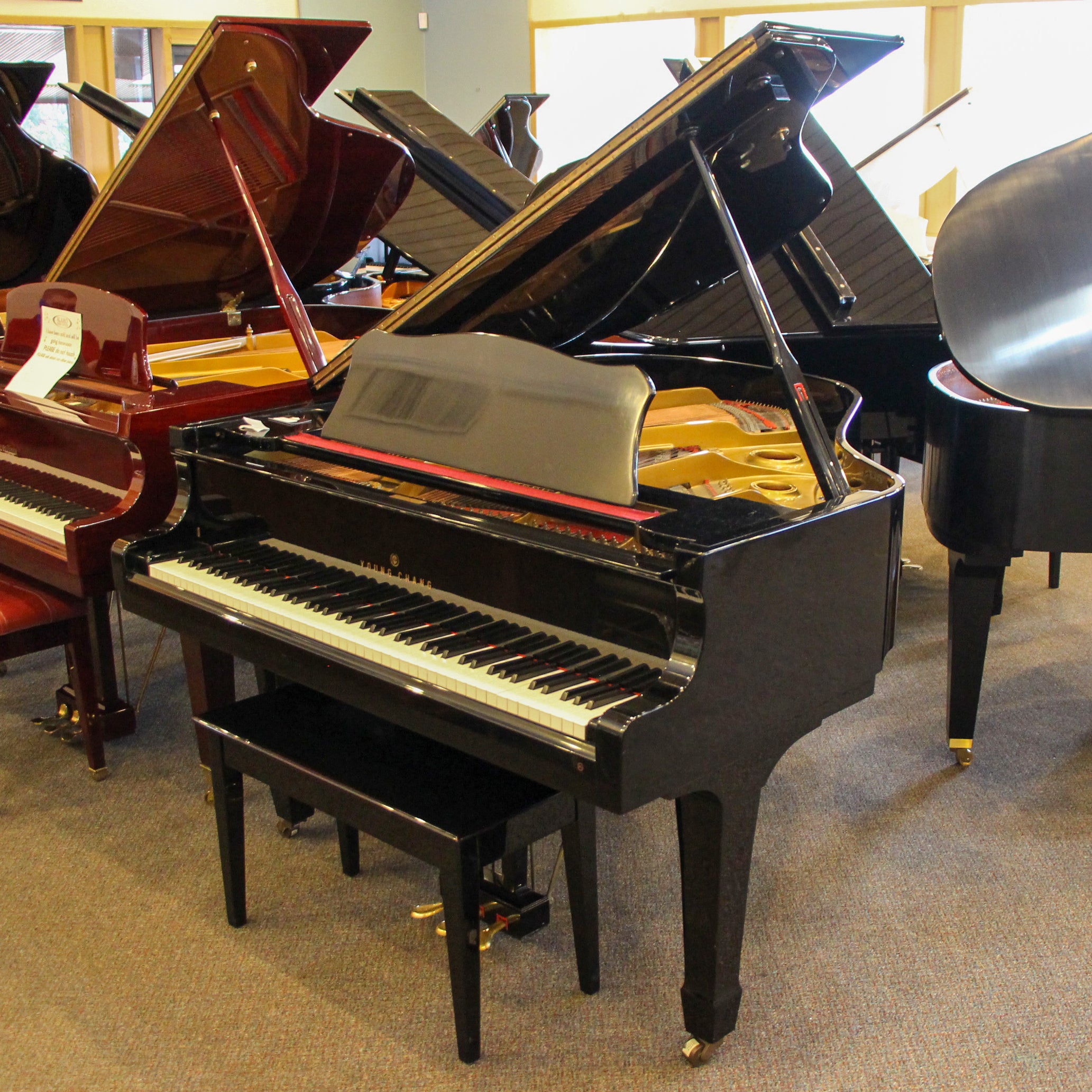 Young Chang Polished Ebony Baby Grand PianoAlamo Music CenterYoung ...