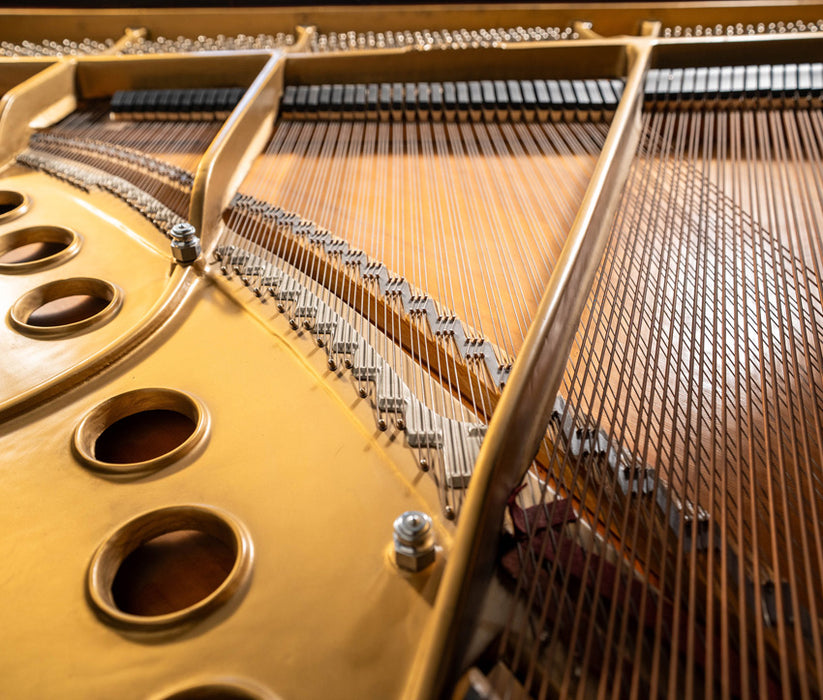 1973 Steinway Model M Grand Piano | Ebony | 5'7" | Serial No. 434449 | Used