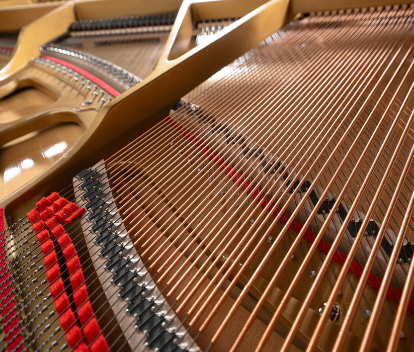 Kawai GL-10 Grand Piano (2023) | Polished Ebony | 5'0" | Serial No. F200464 | Used