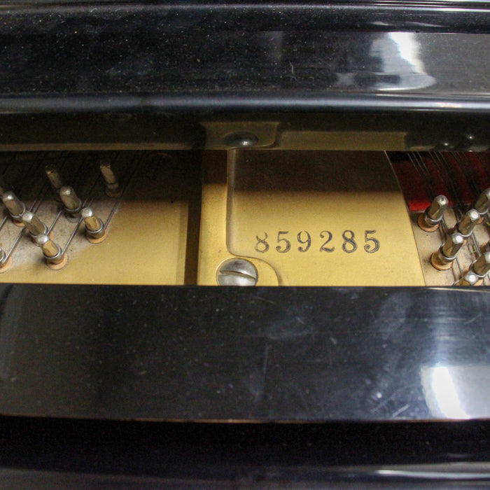 Samick SG-155 Satin Ebony Grand