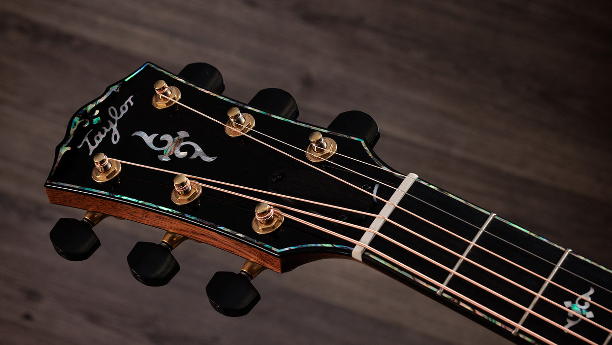 Taylor Gold Label 917e Grand Pacific Acoustic-Electric Guitar - Adirondack/Honduran Rosewood, Sunburst | New