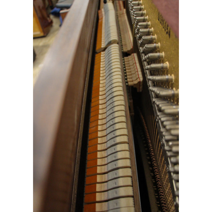 Yamaha P22 Dark Oak Studio Piano