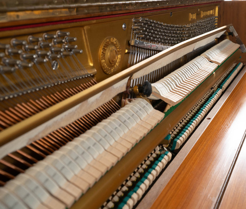 Young Chang U-111 Upright Piano | Walnut Satin | Used