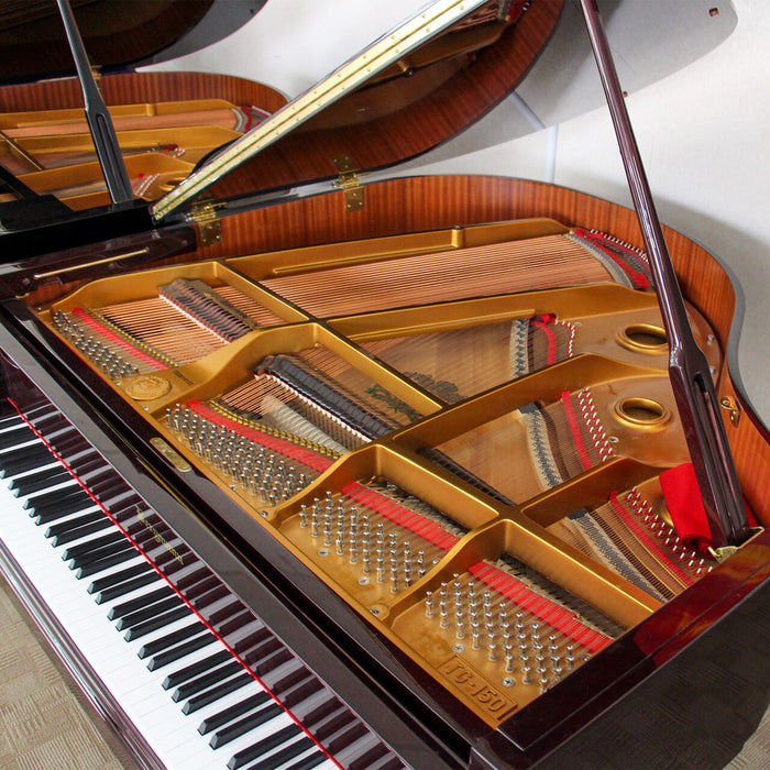 Bergmann TG150 4'11" Baby Grand Piano| Polished Mahogany