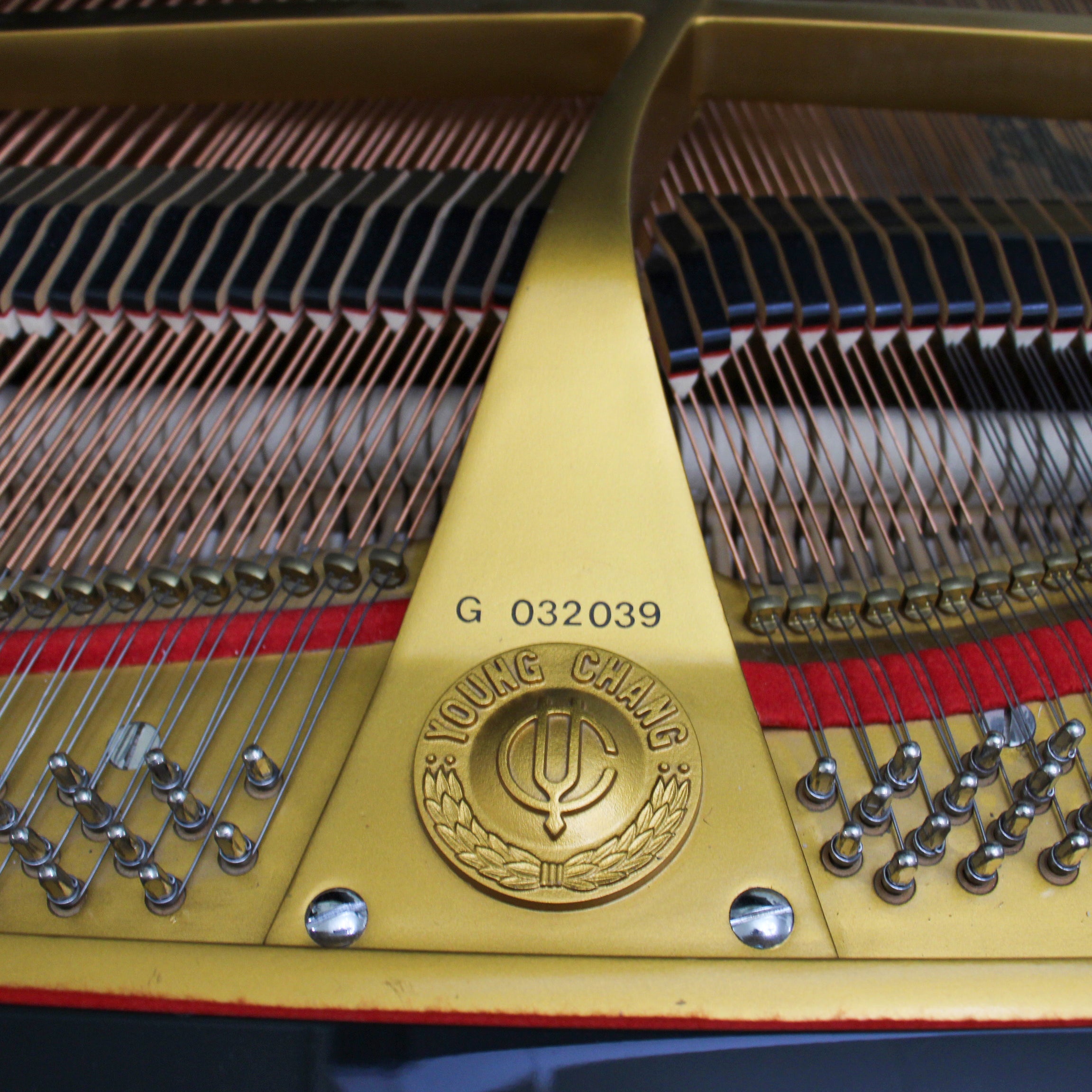 Young Chang G150 PE Baby Grand Piano | Polished EbonyAlamo Music ...