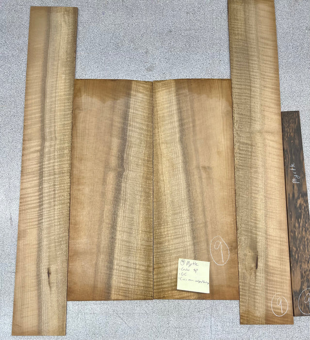 Taylor Custom Grand Concert Acoustic Guitar Factory Visit Hand Picked Woods - Cedar/Tasmanian Myrtle