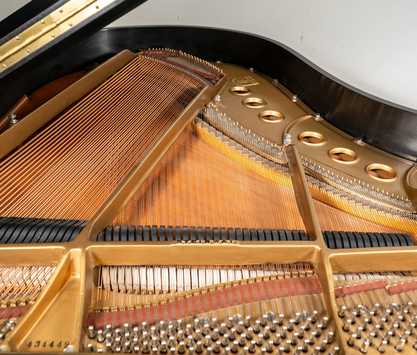 1973 Steinway Model M Grand Piano | Ebony | 5'7" | Serial No. 434449 | Used