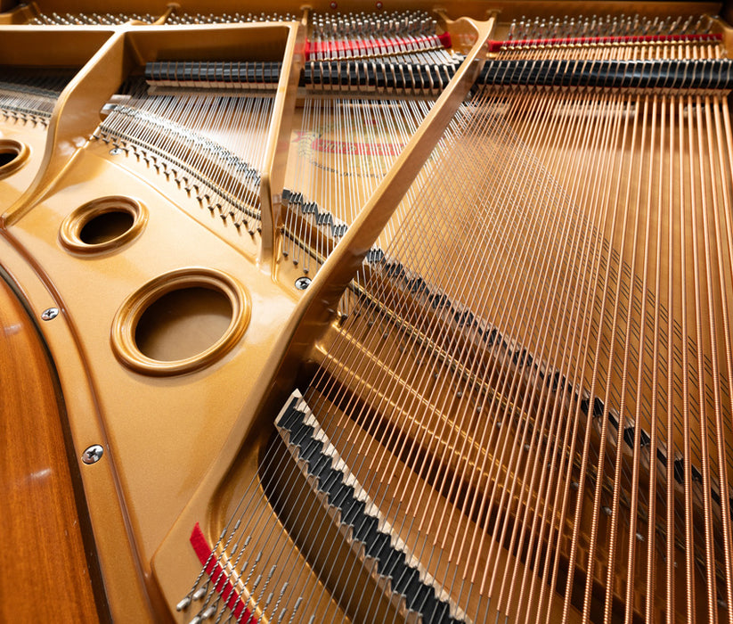 Conover Cable 5' CC1G-50 Grand Piano | Polished Ebony | SN: IJNHG0207 | Used