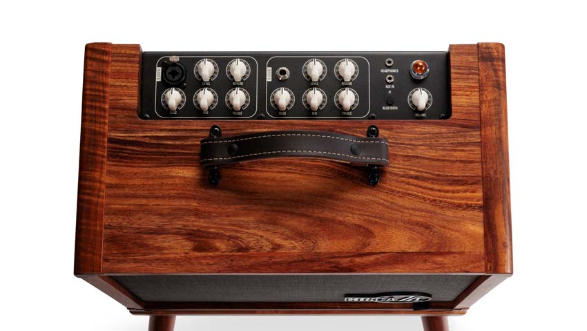 Taylor Circa 74 AV150-10 Acoustic Guitar/Vocal Amplifier with Stand - Koa