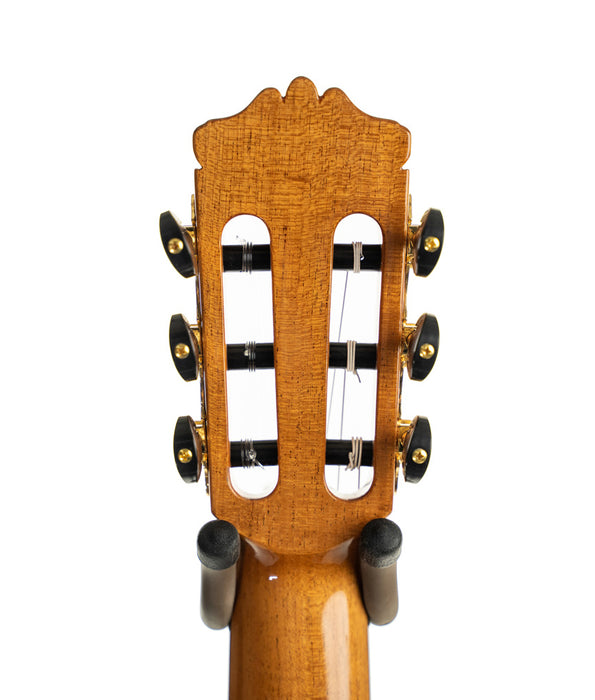 Cordoba C10-CD Canadian Cedar Top Nylon String Classical Guitar