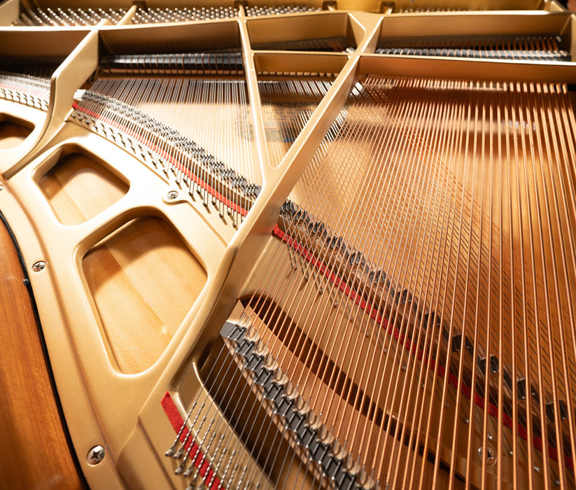 Kawai 5'0" GM-10 Grand Piano | Polished Ebony | SN: F010041 | Used