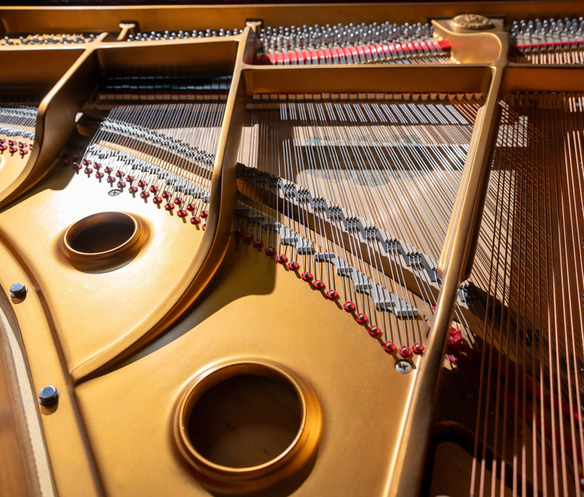 Bergmann TG157 Grand Piano (2009) | Polished Mahogany | 5'2" | Serial No. TG0016943 | Used