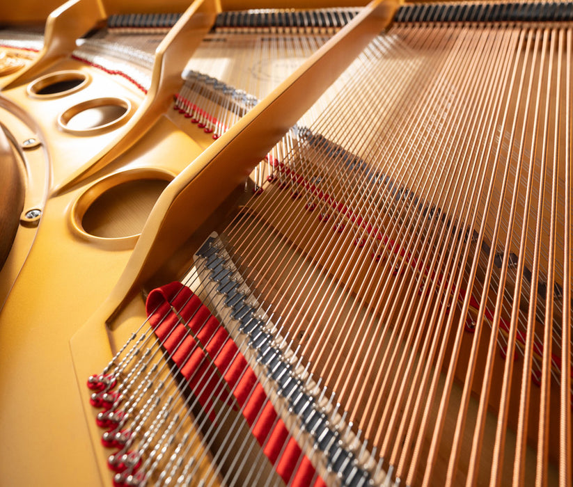 Rittmuller GH160 Grand Piano | Polished Ebony | 5'3"| Serial No. 162343 | Used