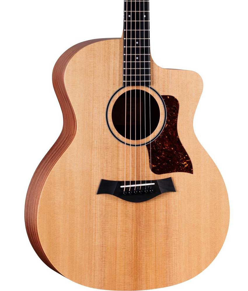 Acoustic-Electric Guitars
