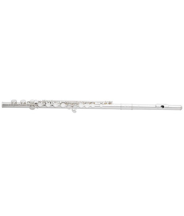 Pre-Owned Eastman EFL210 Student C Flute - Closed Hole