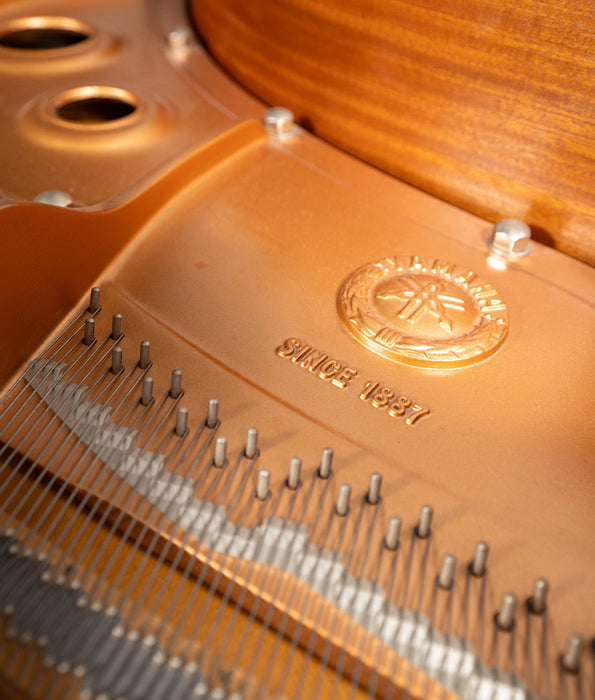 2009 Yamaha C5 Grand Piano | Polished Ebony | 6'7" | Serial No. 6083829 | Used