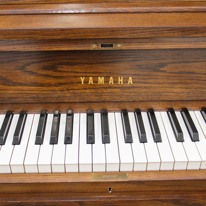 Yamaha P22 Dark Oak Studio Piano