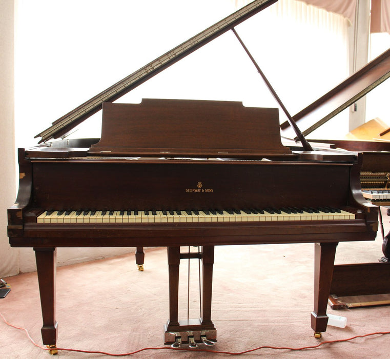 Steinway & Sons 5'7" Model M Grand Piano Rosewood | SN: 231706