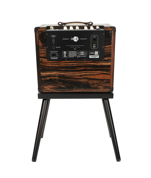 Taylor Circa '74 Macassar Ebony AV150-10 Acoustic Guitar/Vocal Amplifier w/ Stand