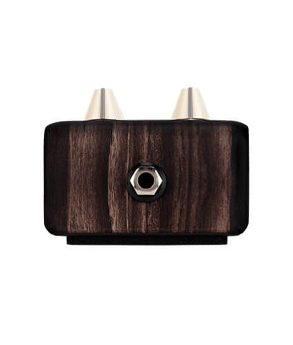 LR Baggs Align Series Delay Acoustic Effects Pedal