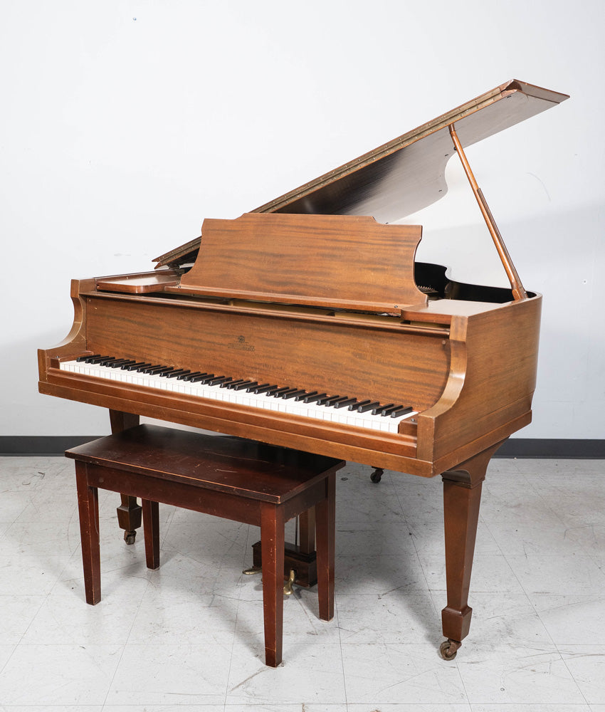 Kurtzman Grand Piano | Satin Walnut | Baby Grand Piano | Used
