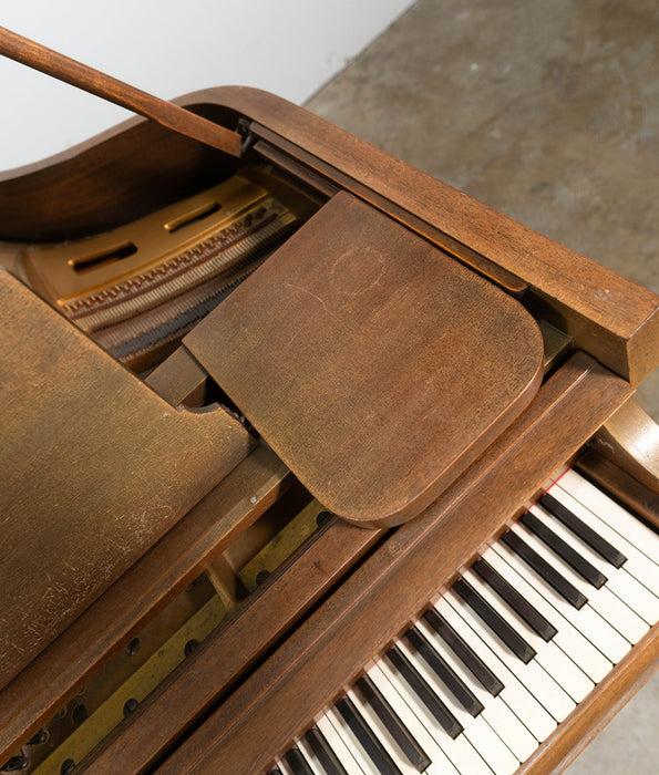 Chickering Grand Piano | Satin Walnut | Used