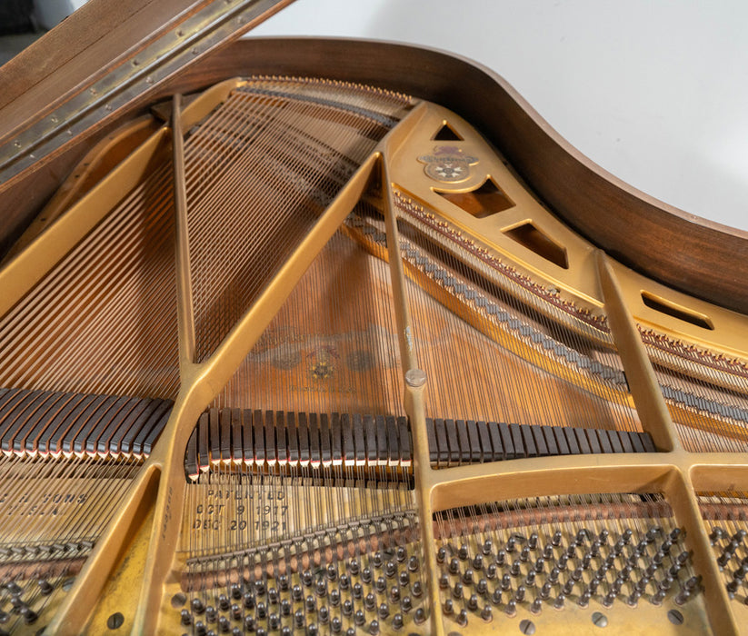 Chickering Grand Piano | Satin Walnut | Used