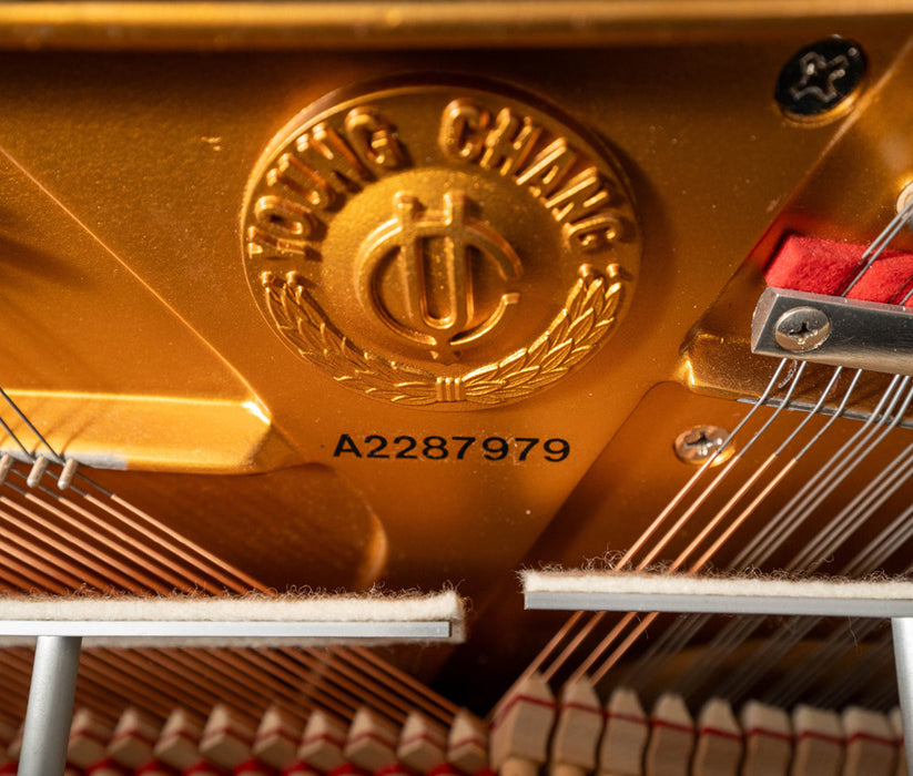 1996 Young Chang U121 Upright Piano | Polished Ebony | 48" | Used