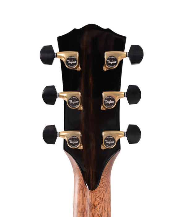 Taylor Gold Label 917e Grand Pacific Acoustic-Electric Guitar - Adirondack/Honduran Rosewood, Natural | New