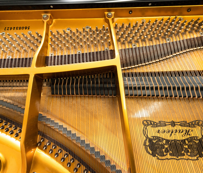 Hailer 5'2 Classic Baby Grand Piano | Polished Ebony | SN: 560851427 | Used