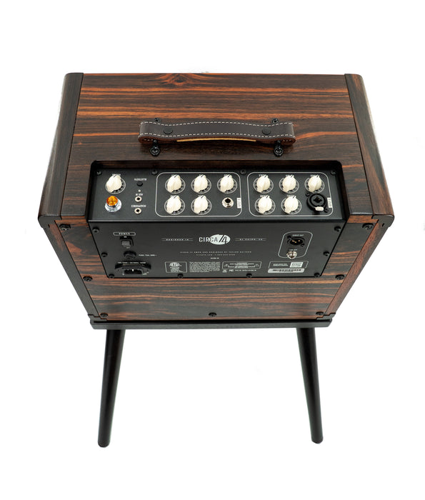 Taylor Circa '74 Macassar Ebony AV150-10 Acoustic Guitar/Vocal Amplifier w/ Stand