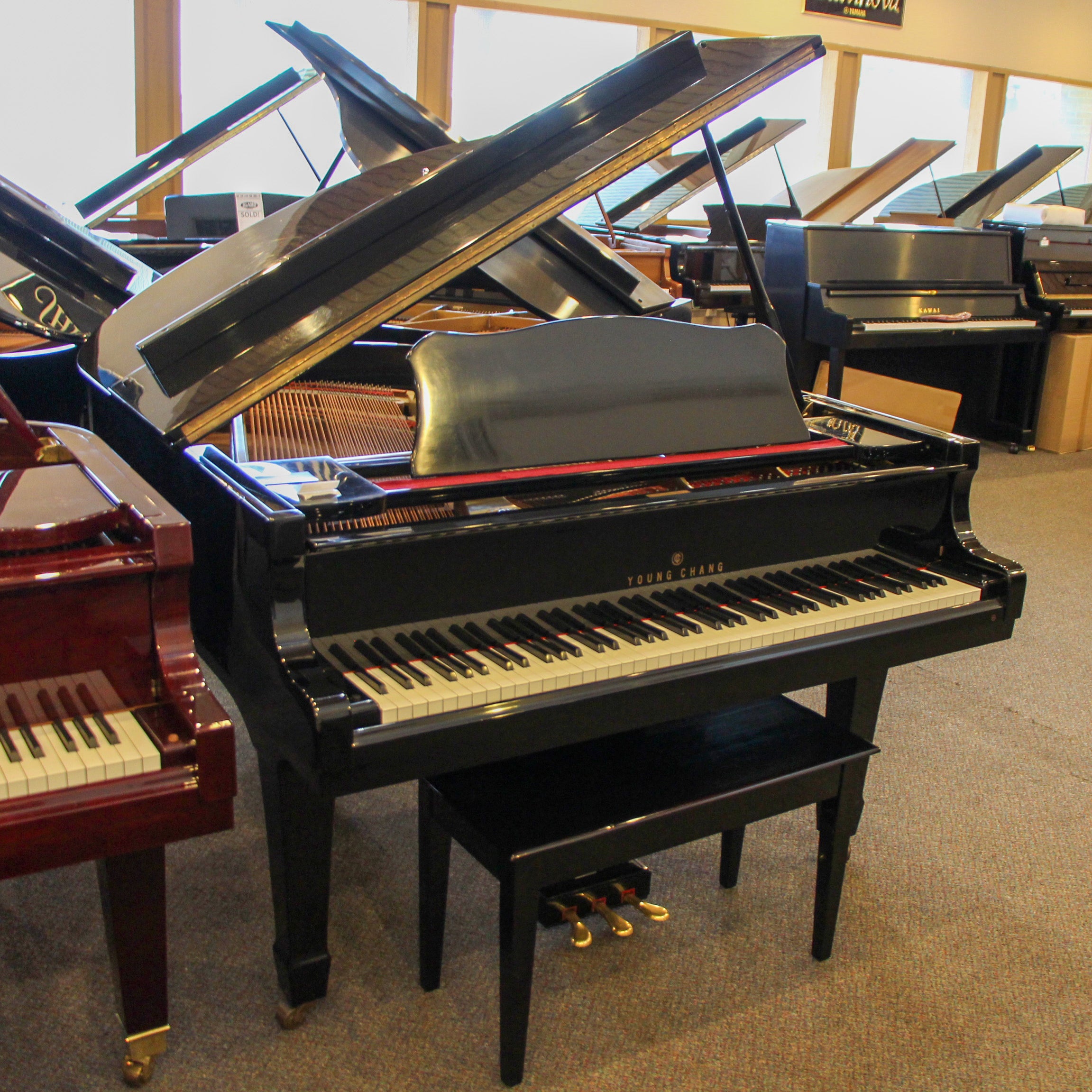 Young Chang Polished Ebony Baby Grand PianoAlamo Music CenterYoung ...
