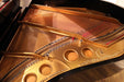 1920 Steinway 5'11" Model O Grand Piano | Satin Ebony | SN: 196535 | Used-Alamo Music Center